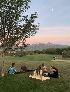 four people are sitting on the grass under a tree and having a picnic at dusk