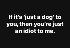 Dog Post Captions, Dog Quotes Funny Hilarious, Crazy Dog Lady Quotes, Yorkie Names, Dog Mom Life, Dog Quotes Funny, Crazy Dog Lady