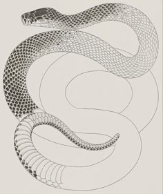 a black and white drawing of a snake