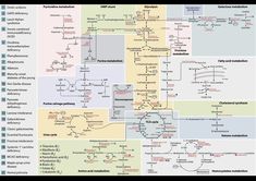 a diagram showing the different types of cell phones and their connections to other cellular systems