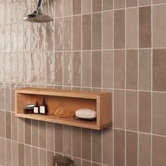 a shelf with soaps and other items on it in a tiled shower stall area