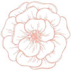 the outline of a flower on a white background