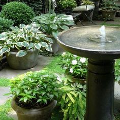 a fountain surrounded by potted plants in a garden