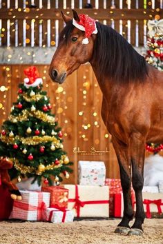 a brown horse standing next to a christmas tree with presents on it's side