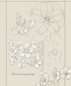 some flowers and leaves are drawn in pencil