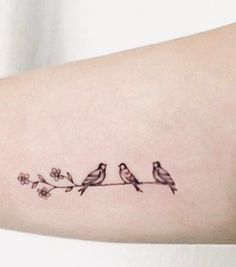 three birds sitting on a branch with flowers tattooed on the left side of the arm