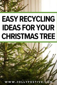 a christmas tree with the words easy recycling ideas for your christmas tree