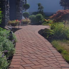 The Holland paver offers a simple yet versatile paver shape. The rectangular shape can be installed in a number of patterns to produce simple or intricate designs. Lowe's 8-in L x 4-in W x 2-in H Rectangle Red/Charcoal Concrete Paver | 0040408-RCH Small Brick Patio, Red Brick Pavers, Paver Steps, Patio Stone, Stone Garden Paths, Brick Projects, Backyard Walkway, Paver Walkway, Front Walkway