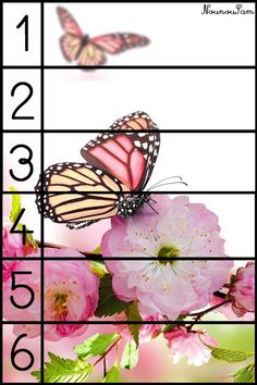 a calendar with pink flowers and two butterflies on the top one is numbered in numbers