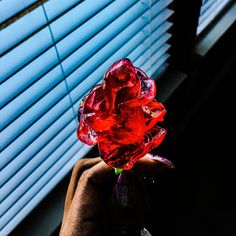 a hand holding a red glass flower in front of a window with blue shutters