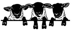 three black and white sheep sitting on top of a wooden bar with their heads down