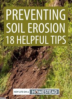 Prevent Erosion On A Slope, Plants That Prevent Erosion, Water Erosion Prevention, Plants To Stop Erosion, Farming On A Hill, Soil Erosion Prevention, Landscaping To Prevent Erosion, Slope Yard Landscaping, Hill Landscape Ideas