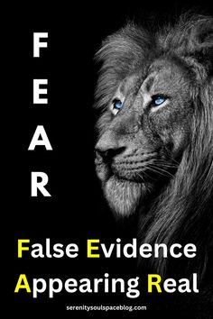 a lion with blue eyes and the words fear false evidence appearing real