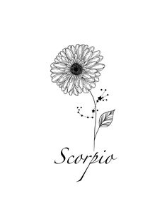 a black and white drawing of a flower with the word scorpi on it