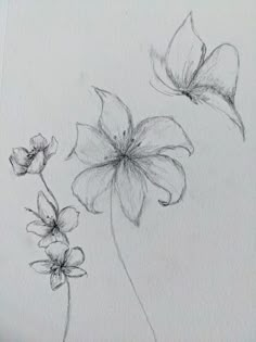 a drawing of two flowers with one flower in the foreground and another on the back ground