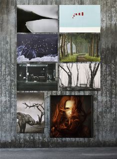 a series of photographs with trees and animals in them, all on one wall next to the road