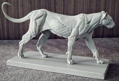 a white sculpture of a cat with muscles on it's body and tail, standing on