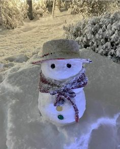 a snowman wearing a hat and scarf in the snow