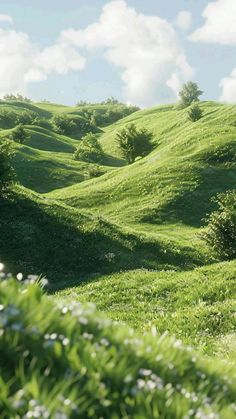 a lush green hillside covered in lots of grass