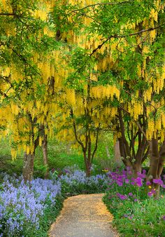 a pathway that is surrounded by trees and flowers