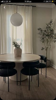 a dining room table with four chairs and a potted plant in the center on top