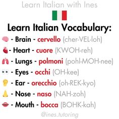 an italian language poster with the words learn italian vocaculary written in different languages