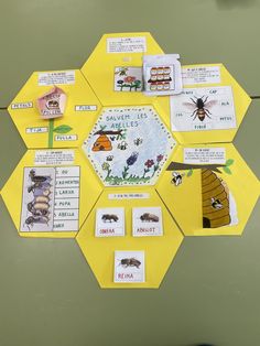 an insect life cycle is shown on the wall in front of a green background with yellow hexagons