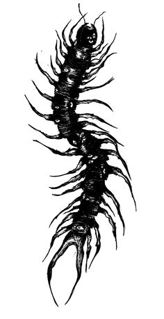 a black and white drawing of a scorpion