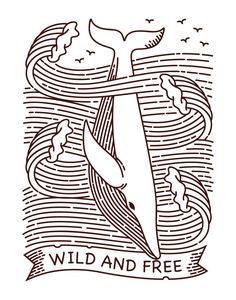 a drawing of a whale with the words wild and free