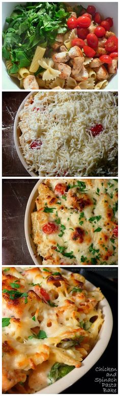 different types of food are shown in this collage, including pasta and chicken casserole