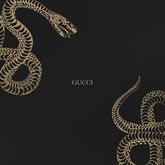 the cover art for gucci stripe's album, which features an image of a