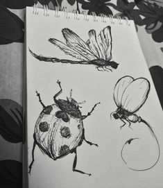 two bugs and one bug are drawn on paper