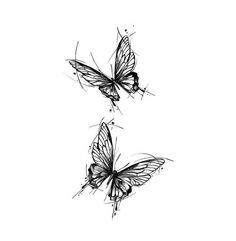 two black and white butterflies flying side by side on a white background, one is drawn in