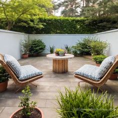 an outdoor patio with two chairs and a table surrounded by potted plants on either side