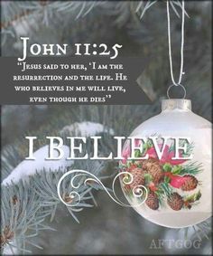 a christmas ornament hanging from a tree with the words, john 12 5 jesus said