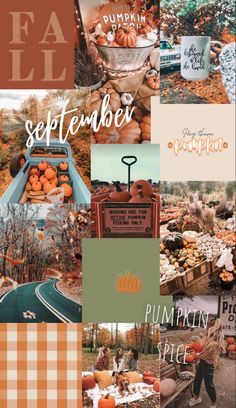 an autumn collage with pumpkins and other things