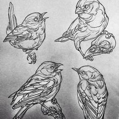 four birds sitting on top of each other in black and white ink drawing by hand