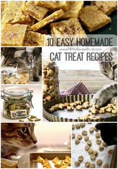 the collage shows different types of homemade cat treats and how to use them for treating