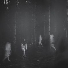 several people are walking through the woods in black and white photo with blurry lights