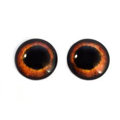 two brown and orange eyes are shown against a white background