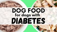 The Best Dog Food for Dogs with Diabetes Mellitus Easy Dog Treat Recipes, Easy Dog Treats, Food Receipt