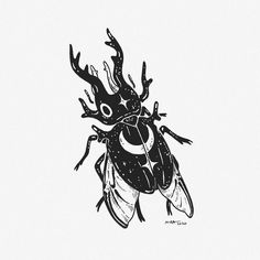 a black and white drawing of a bug