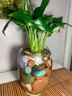 a glass vase filled with lots of different colored rocks and plants sitting on top of a wooden table