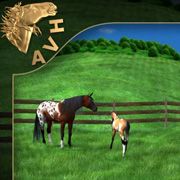 two horses are standing in the grass near a fence and a horse is looking at them