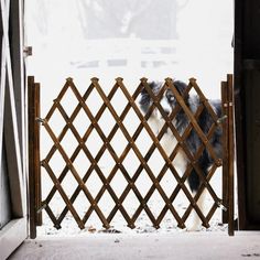 the dog is looking through the gate at the snow