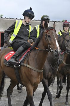 three police officers riding horses in the street with their helmets on and looking at something