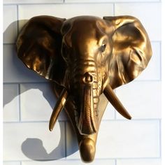 an elephant head mounted to the side of a wall