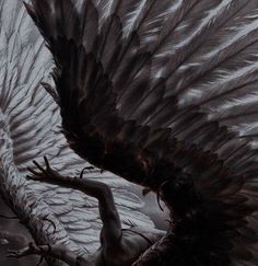 an artistic painting of a bird with its wings spread