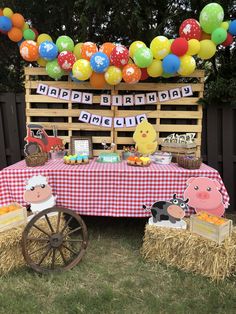 an outdoor birthday party with hay bales and farm animals on the table in front of it