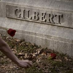 a person reaching for some flowers in front of a wall with the word gilbert written on it